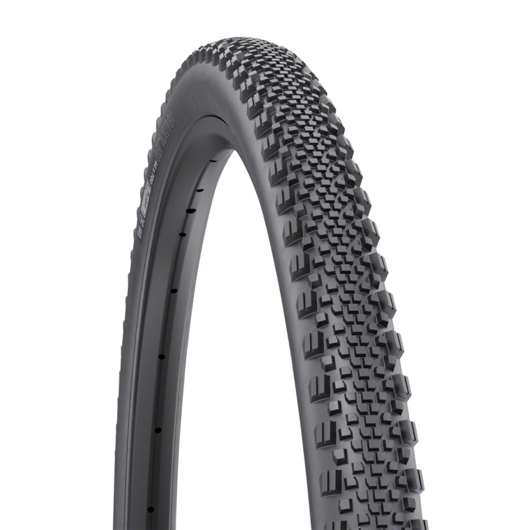 WTB Raddler TCS SG2 Tire – Mike's Bikes