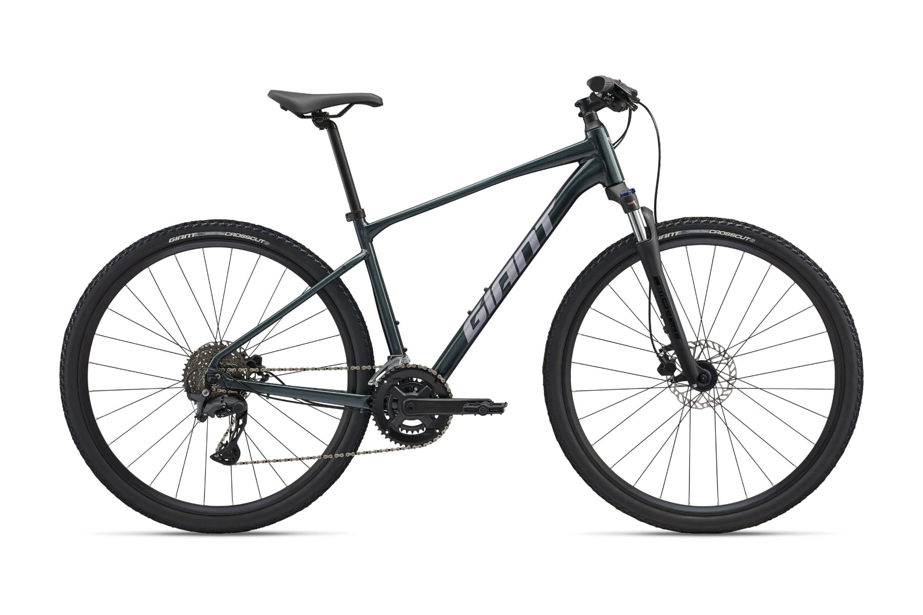 eddie bauer giant bicycle Giant Roam 2