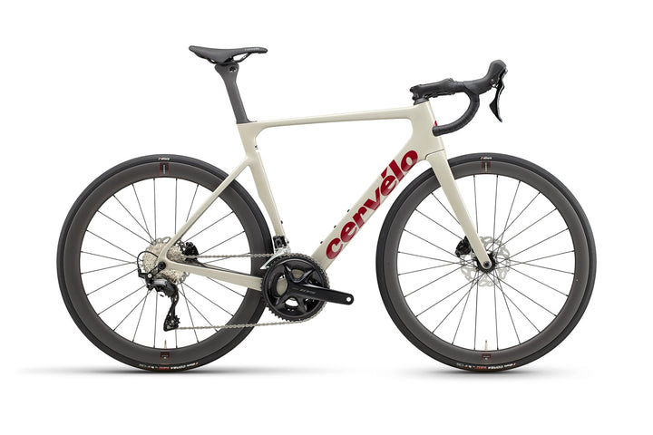 Soloist 105 Race - Dried Amaranth