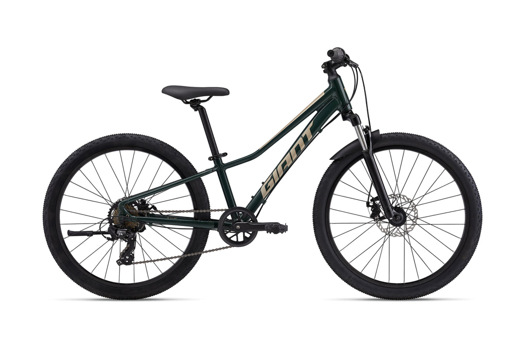 Talon 24 Disc - Trekking Green