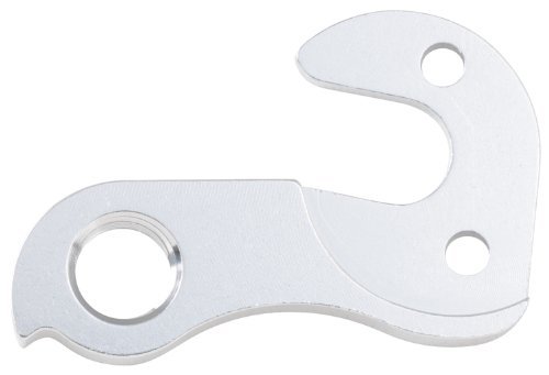 Raleigh discount derailleur hanger