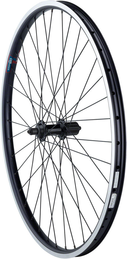 Deore Hub with Cliffhanger Rim Rear Wheels