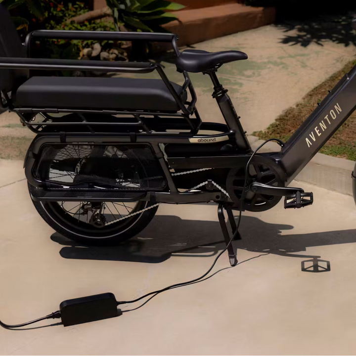 Fast Charger