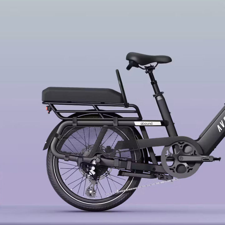 Rear Handlebar