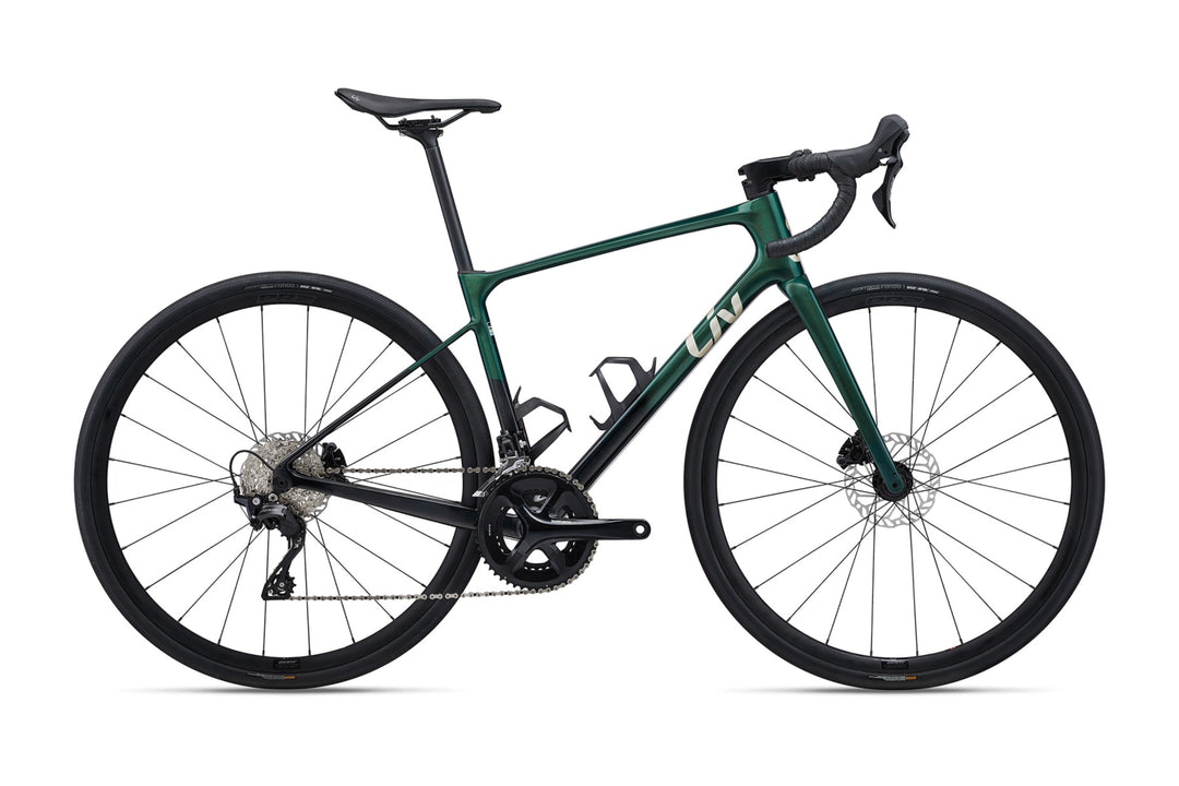 Avail Advanced 2 (2024)