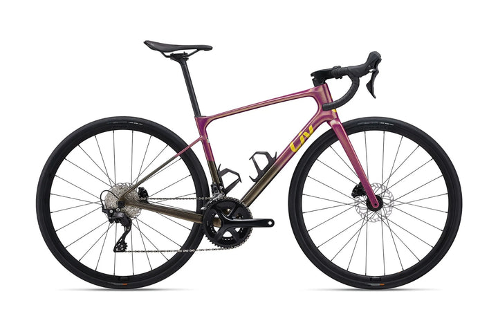 Avail Advanced 2 (2024)