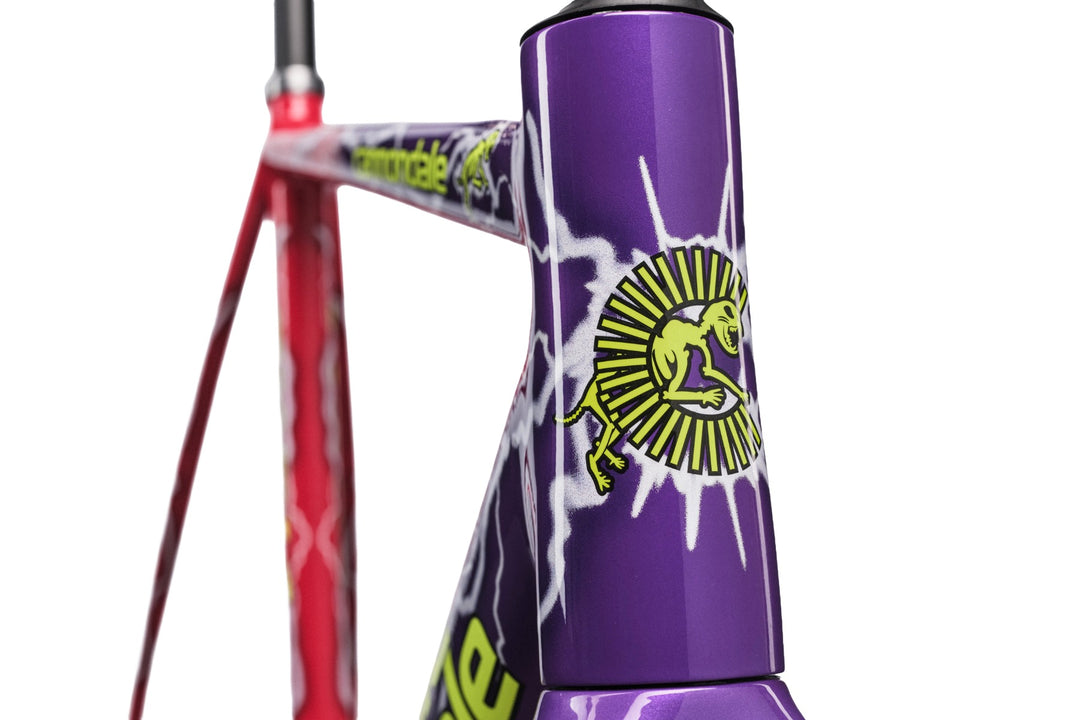 CAAD14 Team Dream Frameset