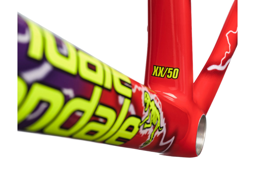 CAAD14 Team Dream Frameset