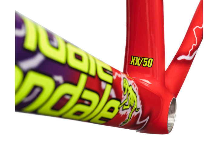 CAAD14 Team Dream Frameset