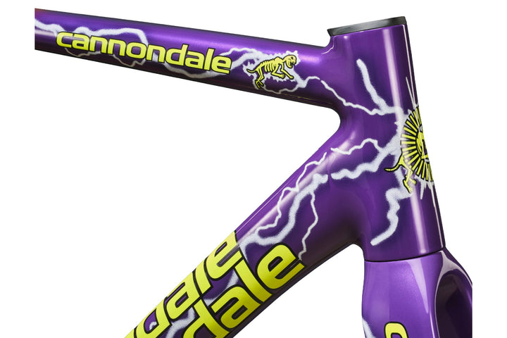 CAAD14 Team Dream Frameset