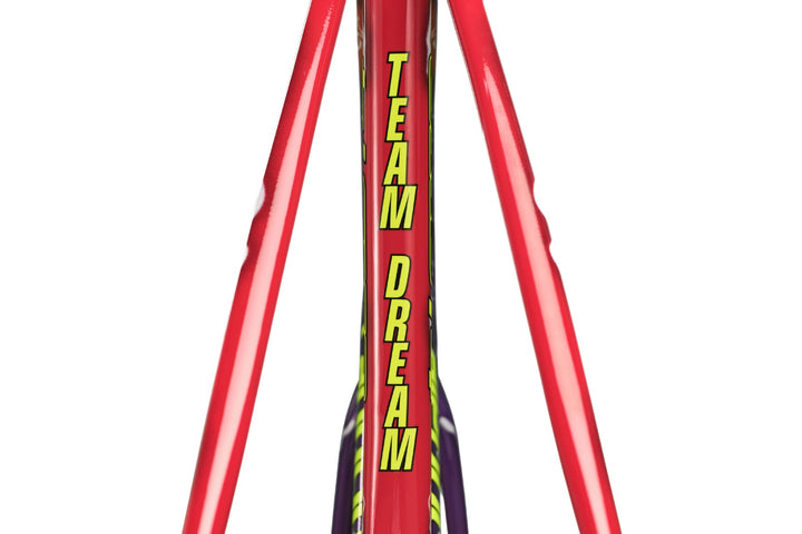 CAAD14 Team Dream Frameset