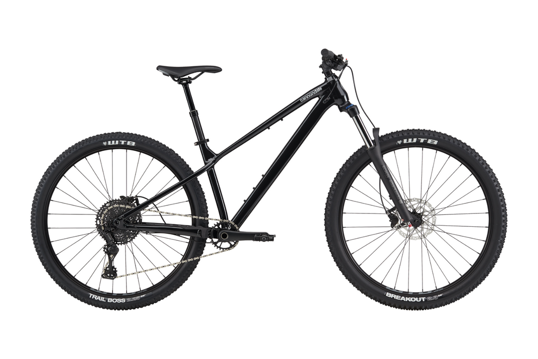 Cannondale Habit HT 3 - Black Pearl