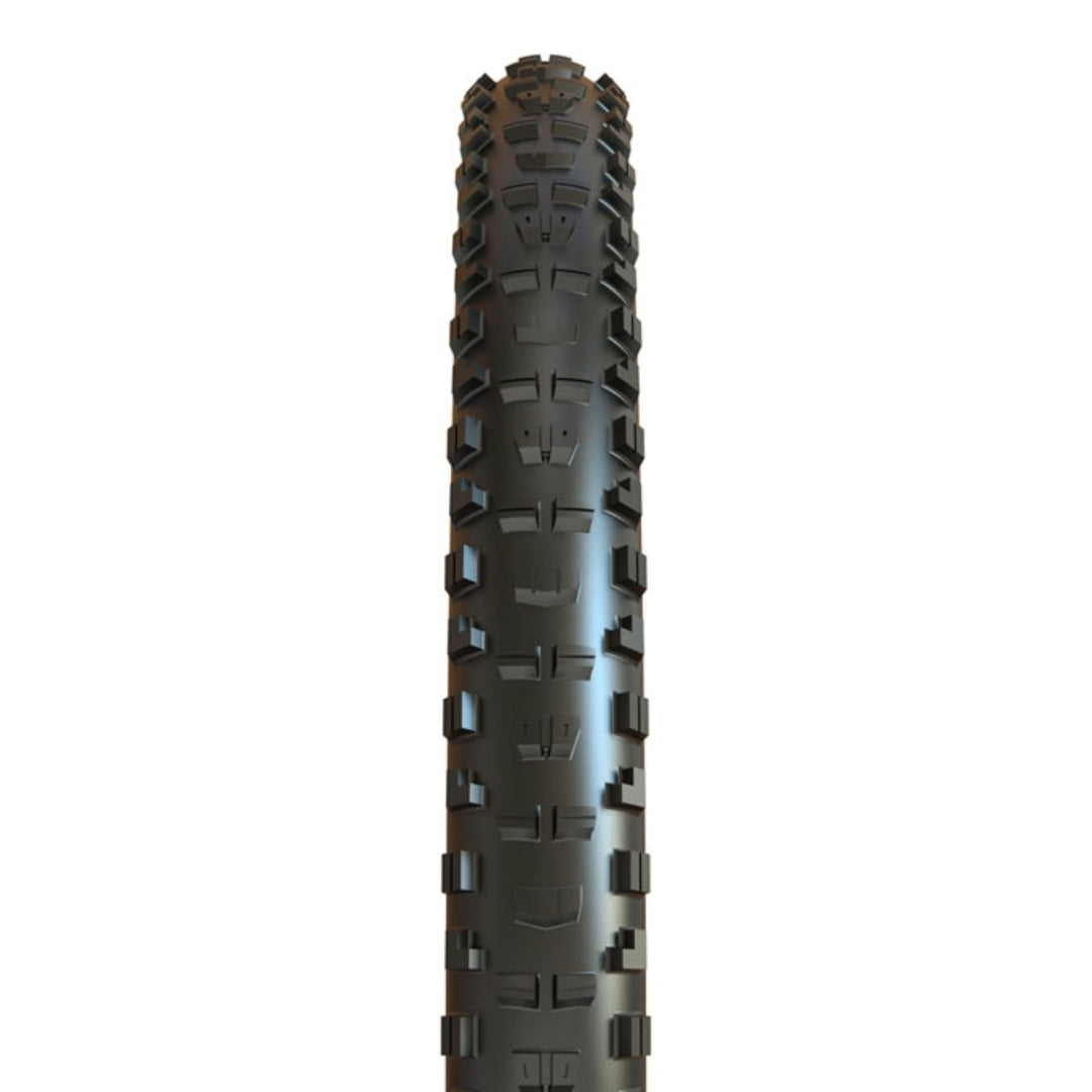 DHR II MaxxTerra EXO+ (29x2.4)