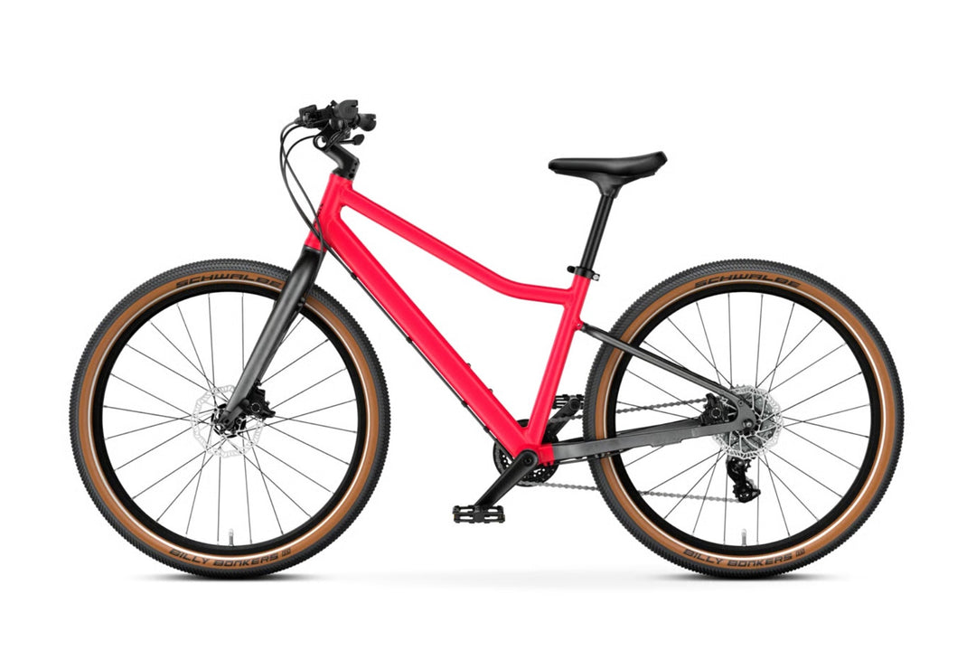 EXPLORE 5 Limited Edition (24")