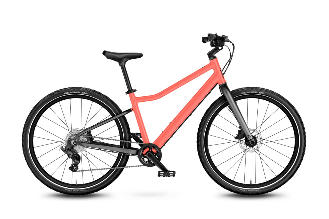 EXPLORE 5 - Neon Coral