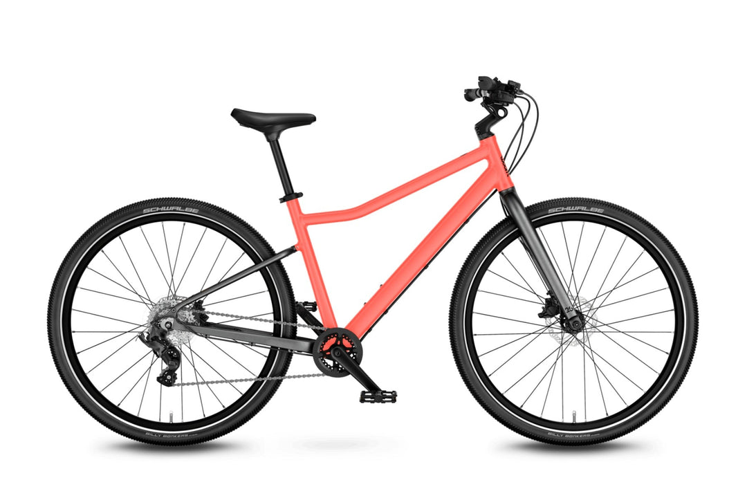 EXPLORE 6 - Neon Coral