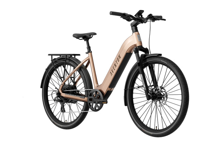 Level 4 REC Step-Through Ebike