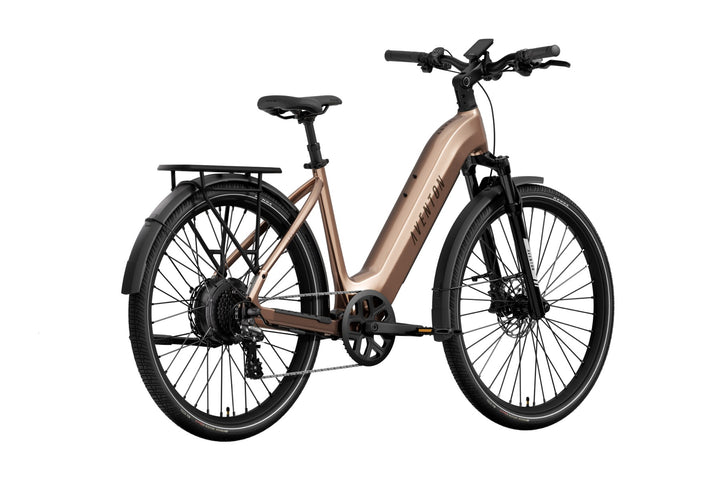 Level 4 REC Step-Through Ebike