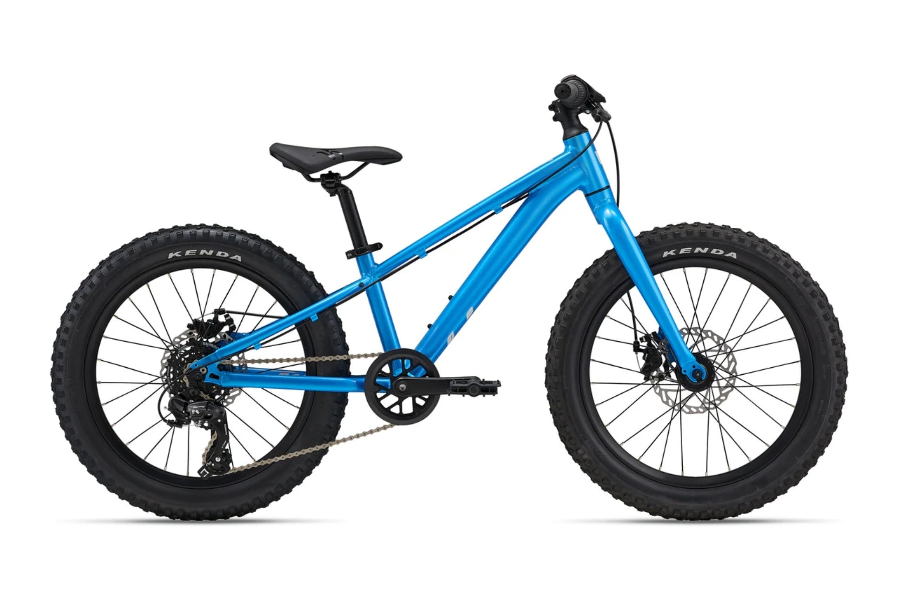 giant 20 inch bicycle STP 20 Liv