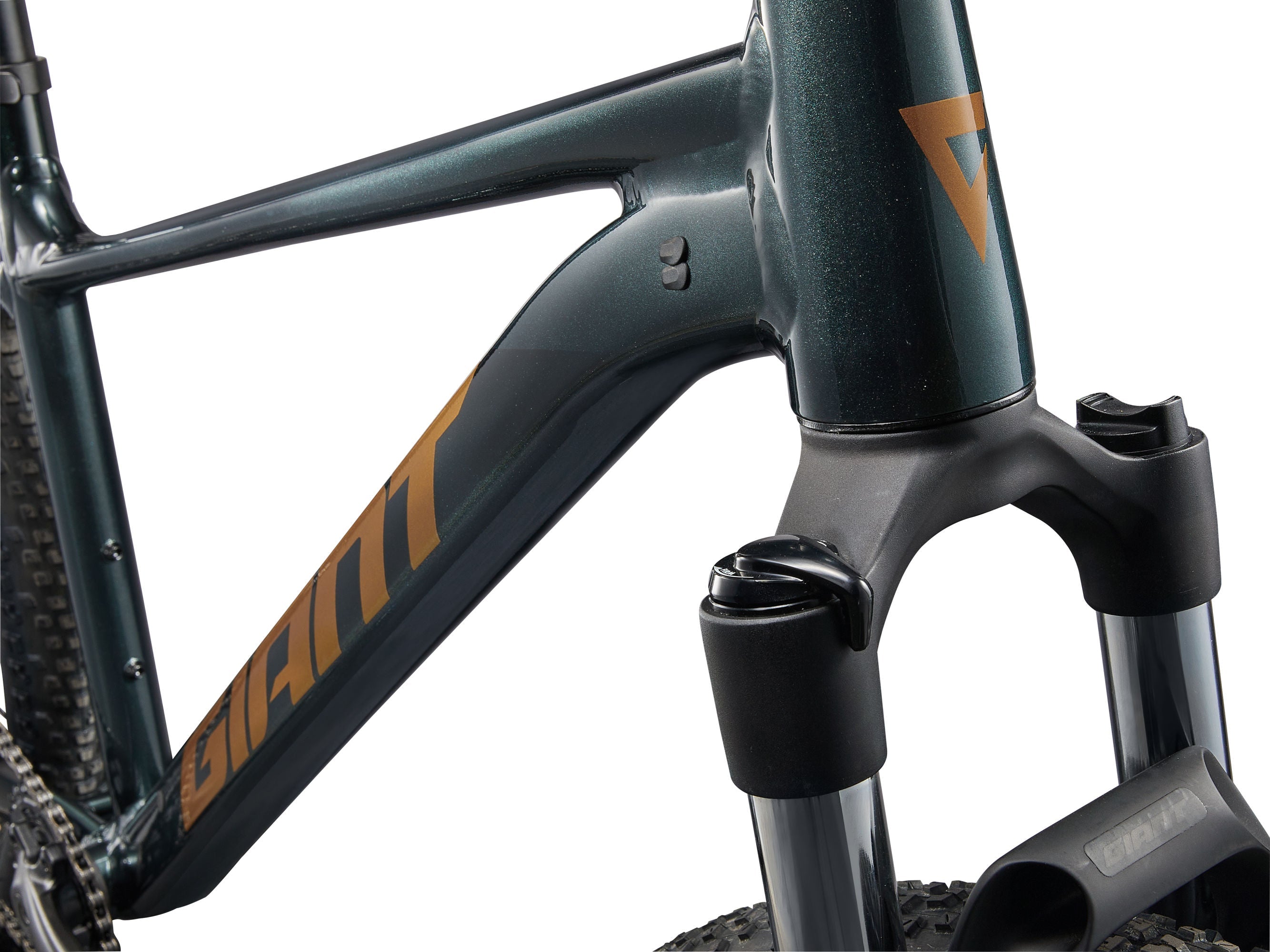 Giant Talon 2 – Mike's Bikes