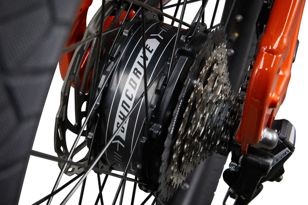 Vida E+ - Caramel Cinnamon