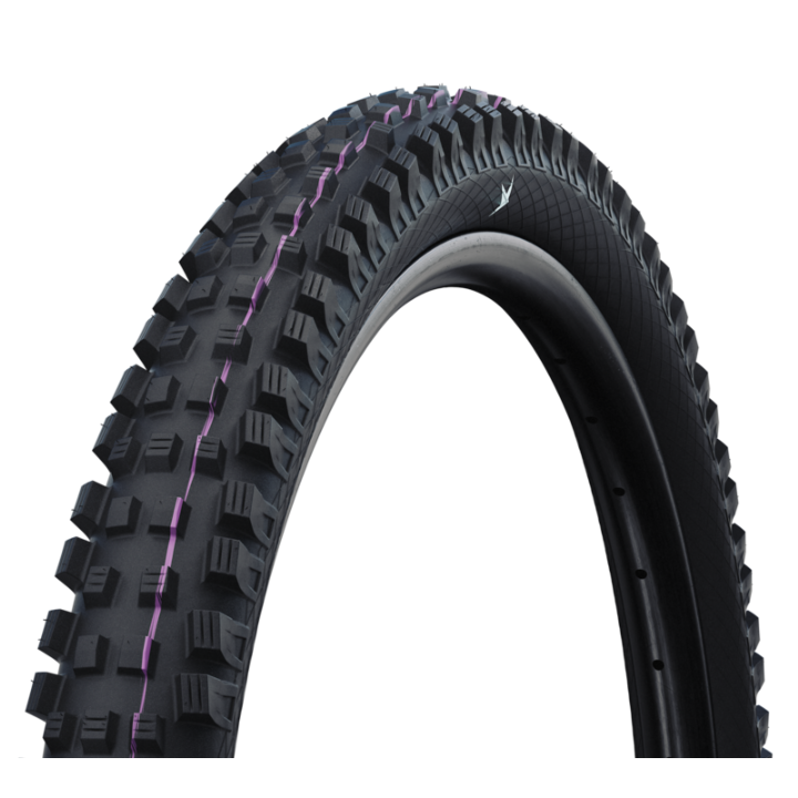 Magic Mary TRAIL & GRAVITY PRO Radial Tire