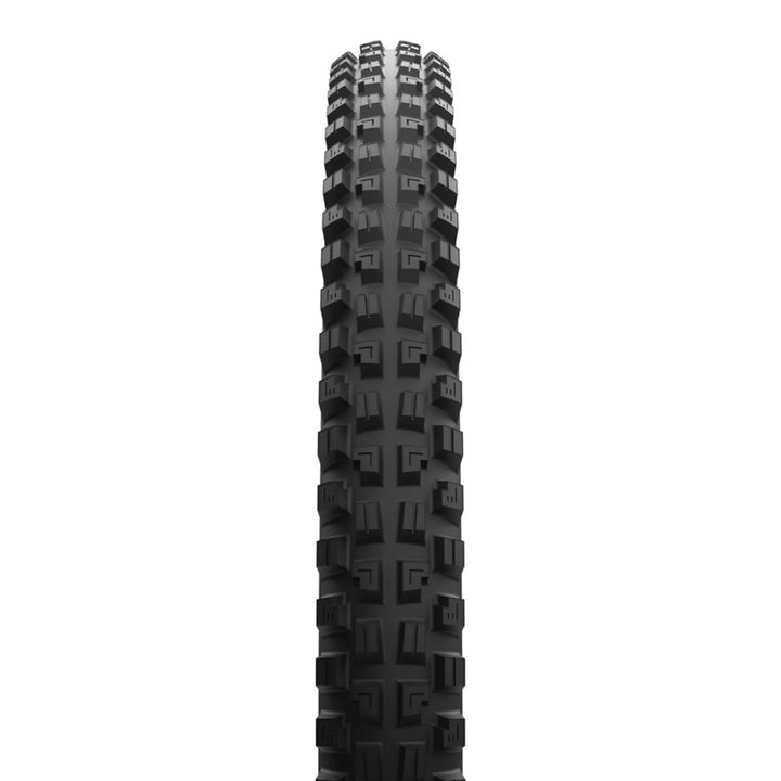 Minion DHX Tire