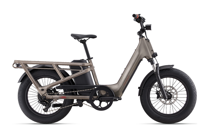 Momentum Bikes Momentum Electric Bikes More Mike s Bikes