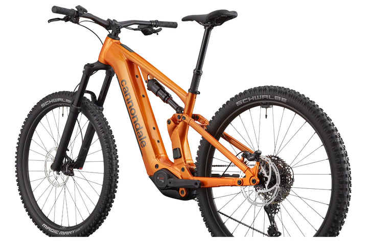 Moterra 4+ - Tiger Eye