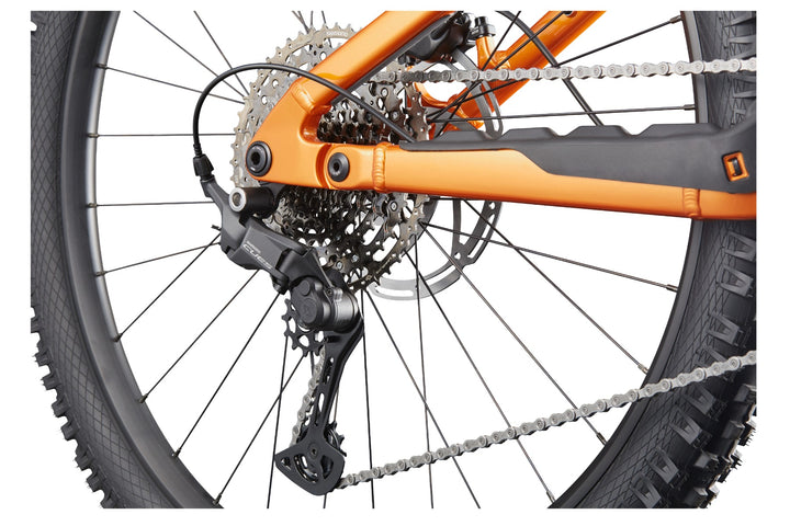 Moterra 4+ - Tiger Eye