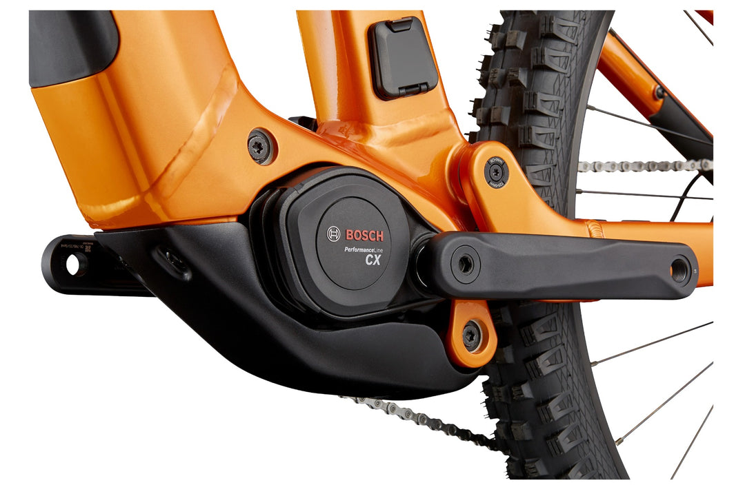 Moterra 4+ - Tiger Eye