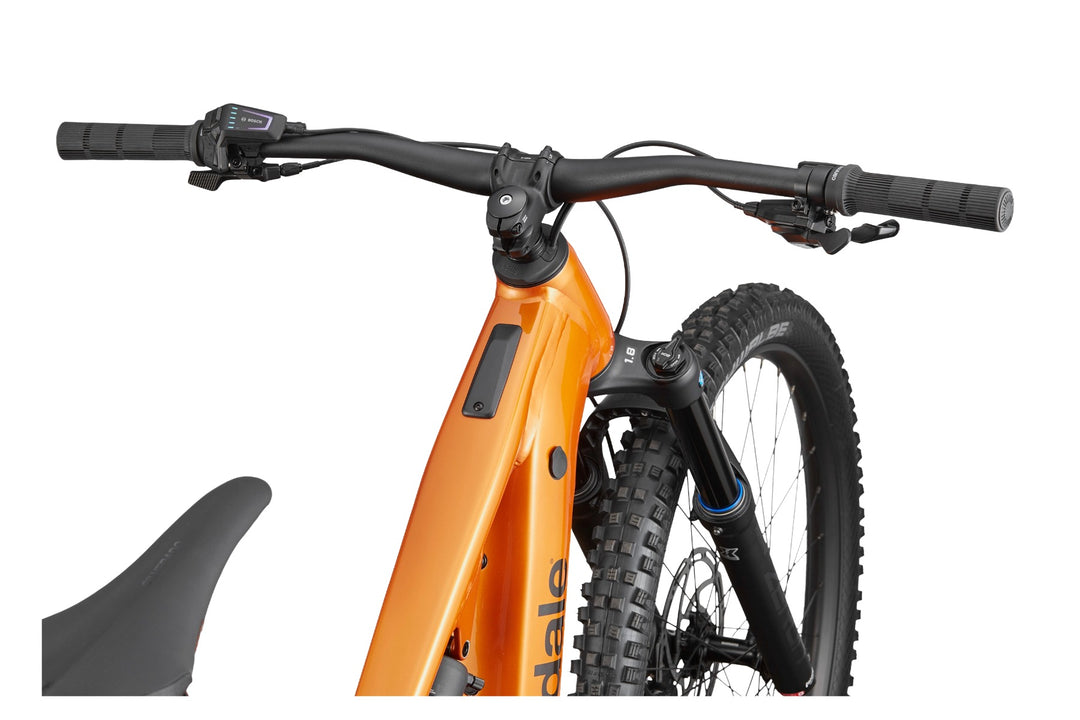 Moterra 4+ - Tiger Eye