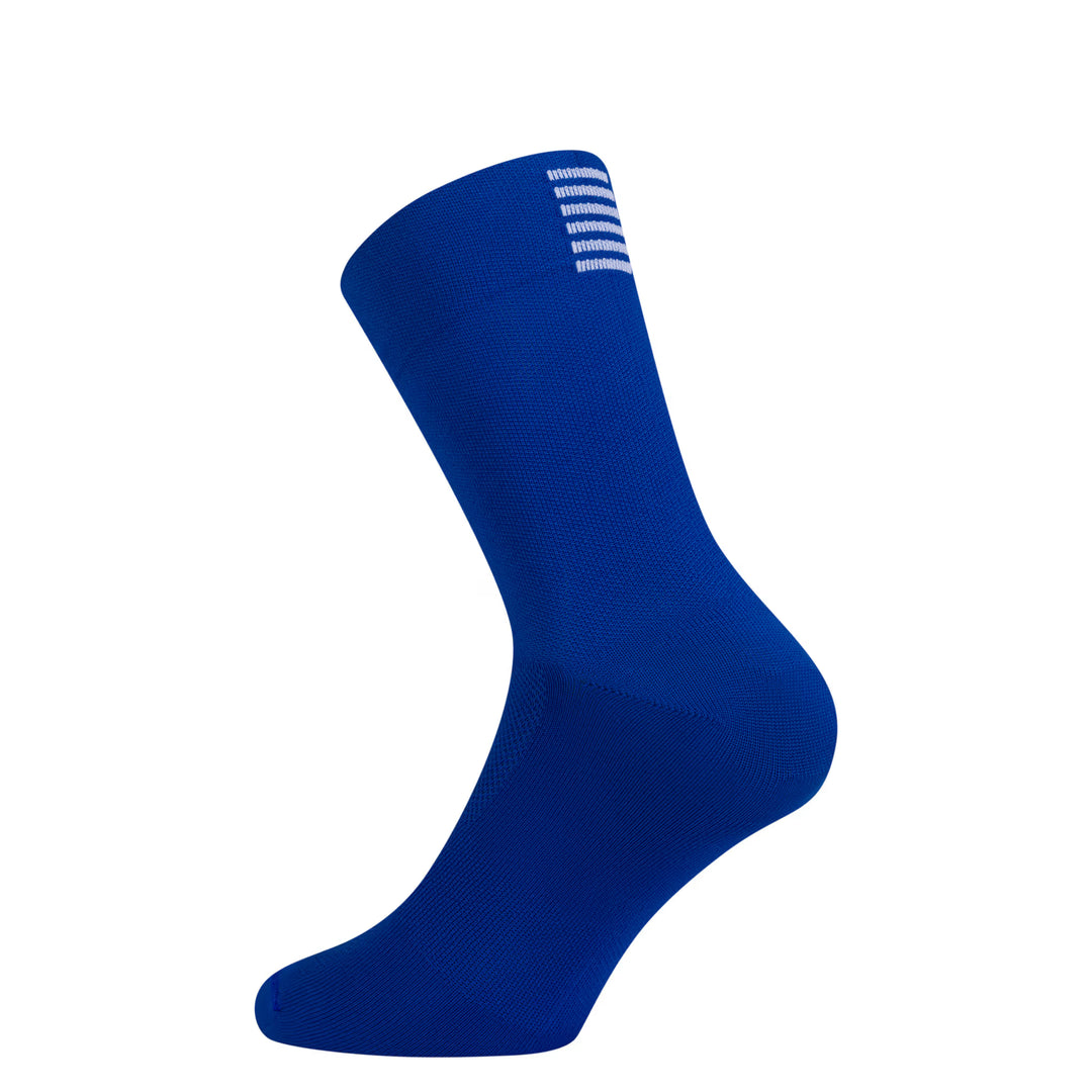 Pro Team Socks