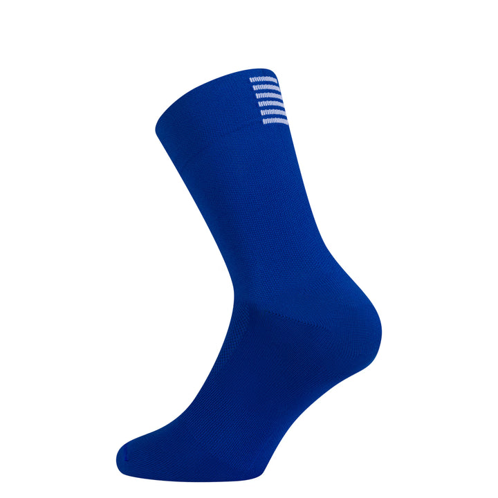 Pro Team Socks