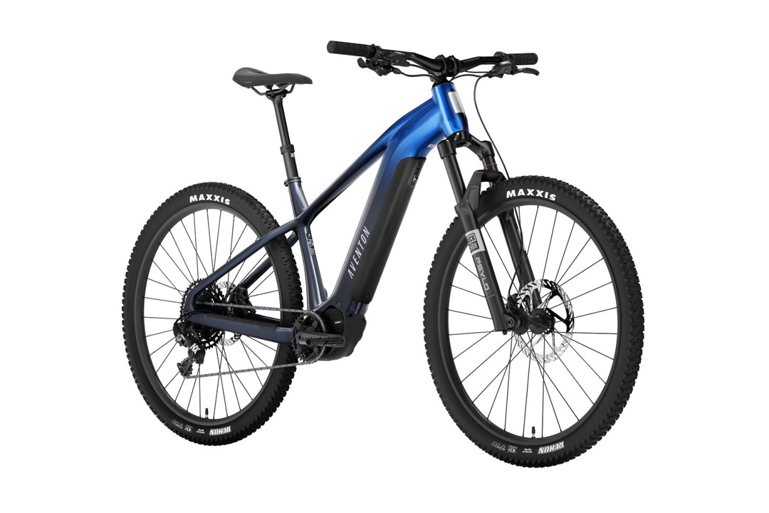 Ramblas ADV Ebike