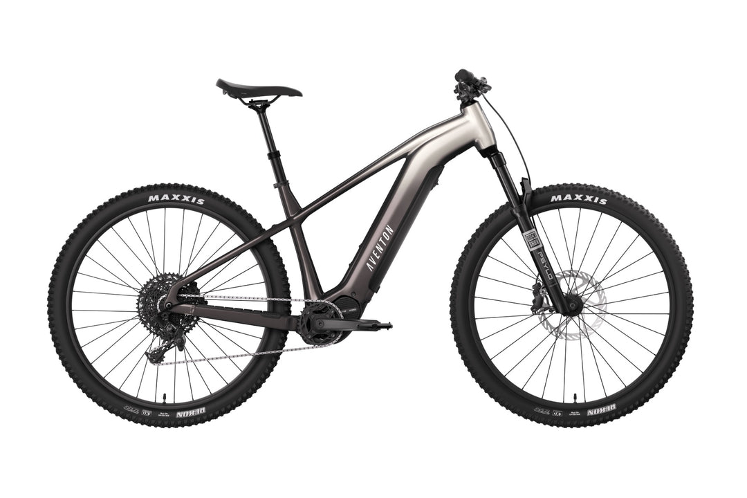 Ramblas ADV Ebike