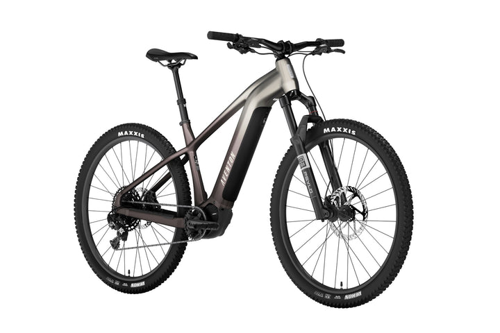 Ramblas ADV Ebike