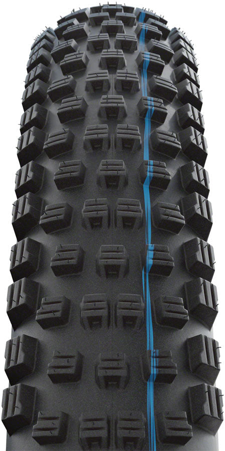 Schwalbe Wicked Will Tire (29x2.4) – Mike's Bikes