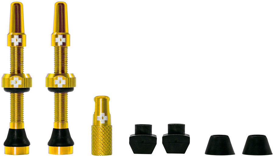 Tubeless Valve Kit