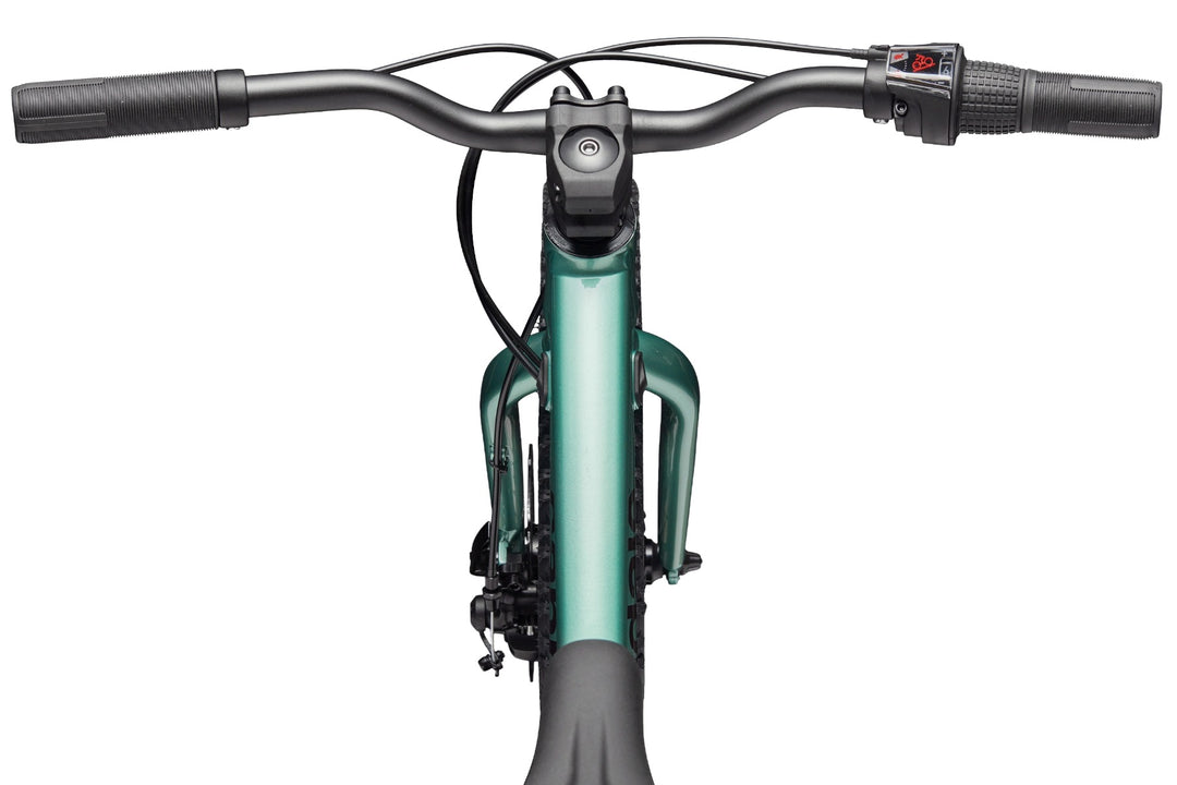 Trail Plus 20