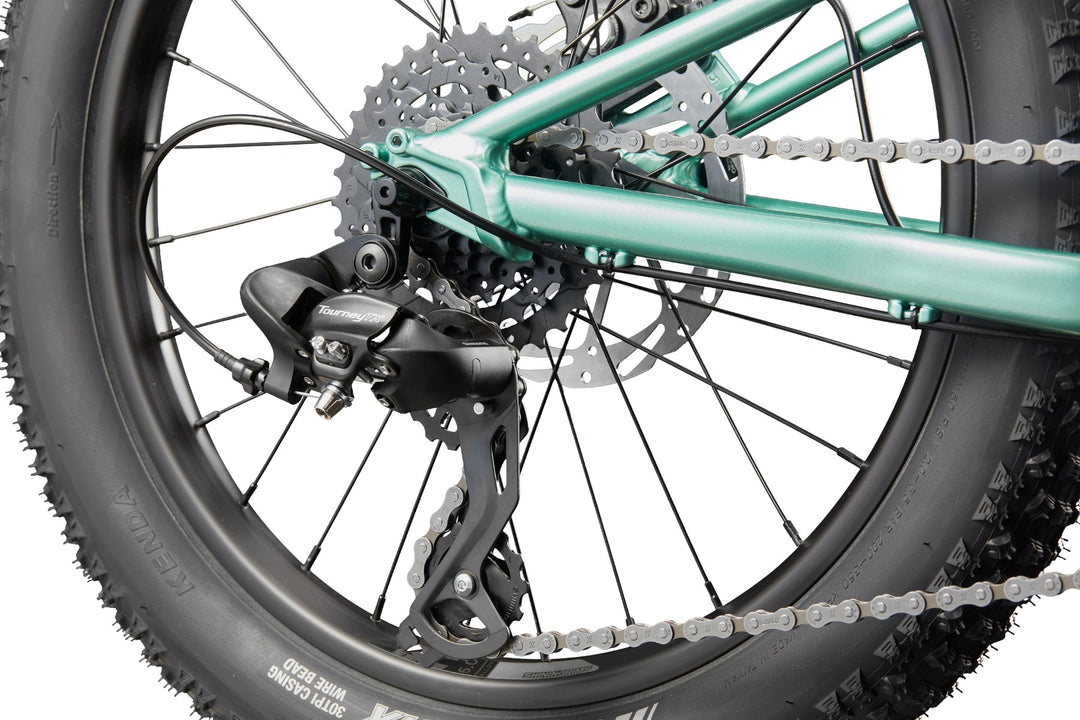 Trail Plus 20