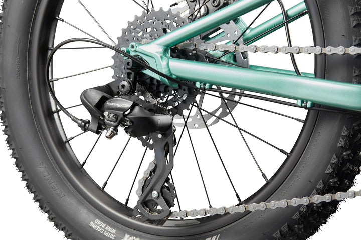 Trail Plus 20