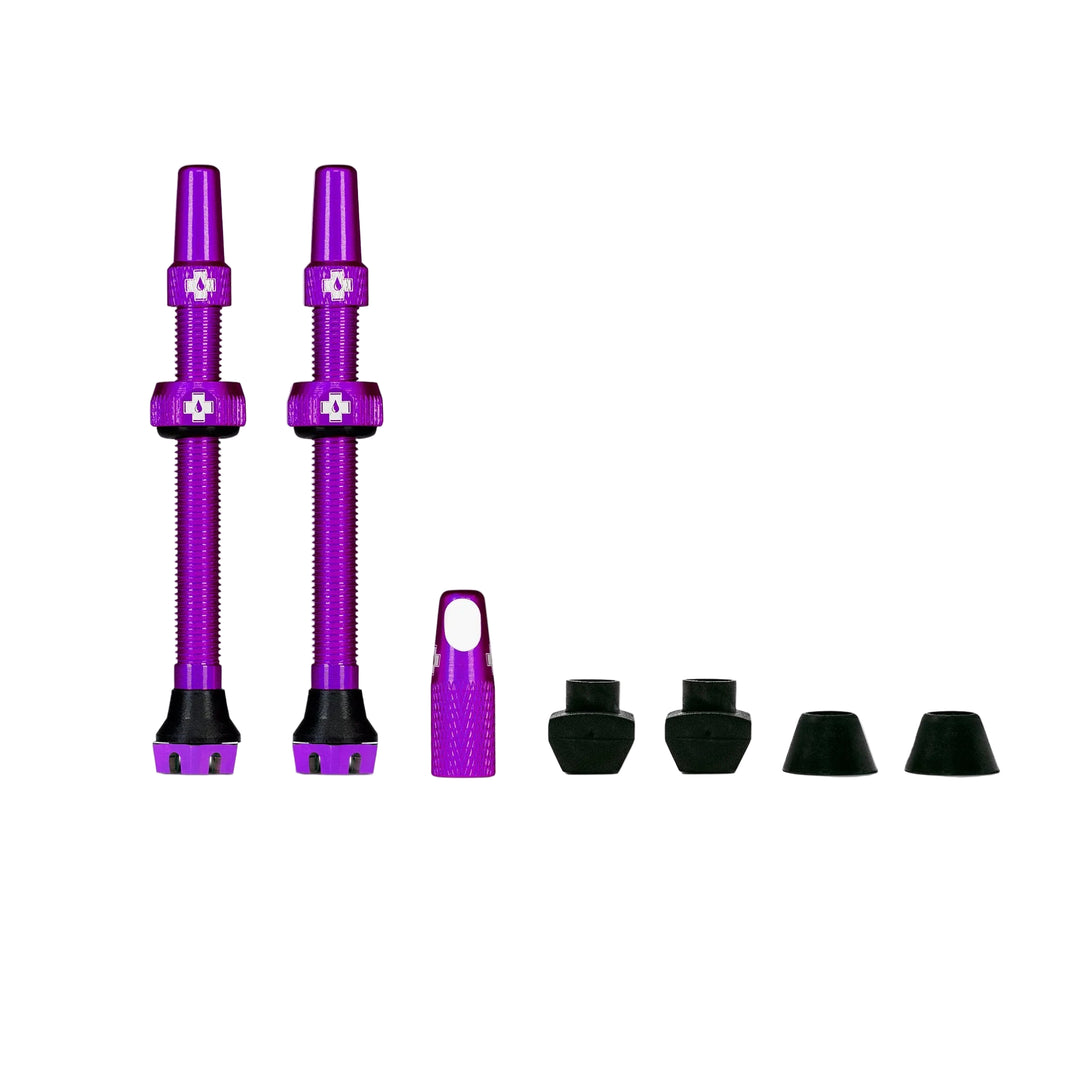 V2 Tubeless Valve Kit - Purple
