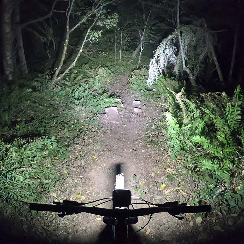 Trail Evo Bike Light