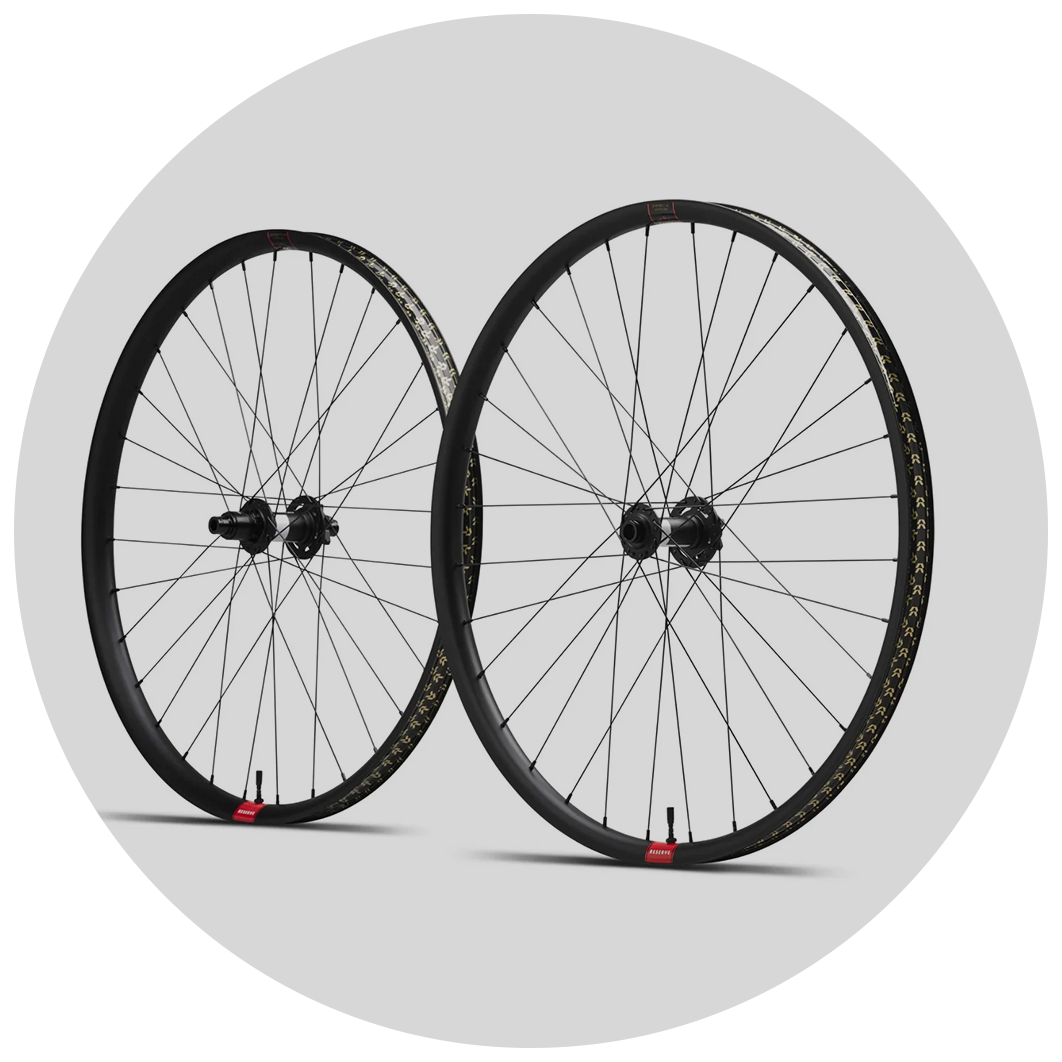 Mikes best sale bikes coupon