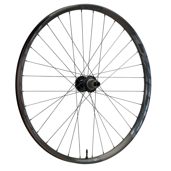 Aeffect R eMTB Rear Wheel (29")