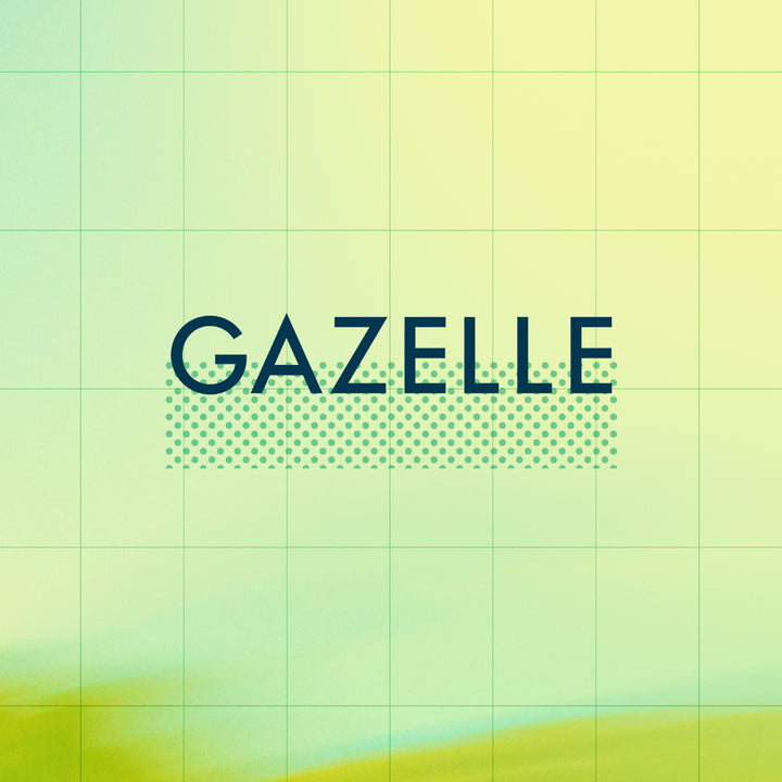 Mega Sale - Gazelle Bikes on Sale