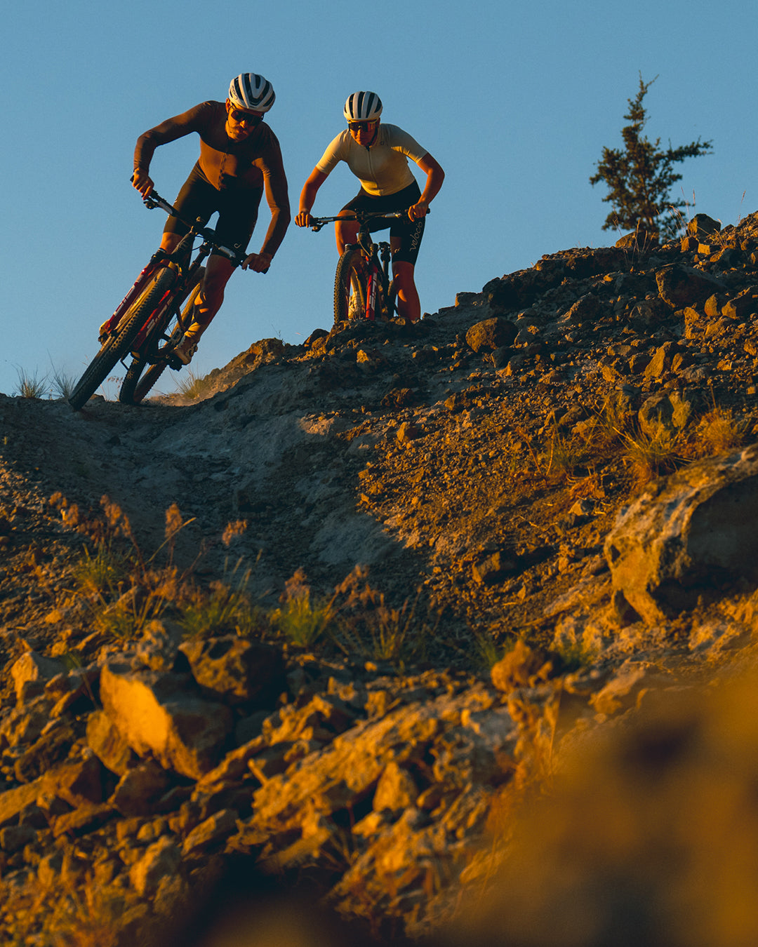 Meet the All-New Santa Cruz Blur