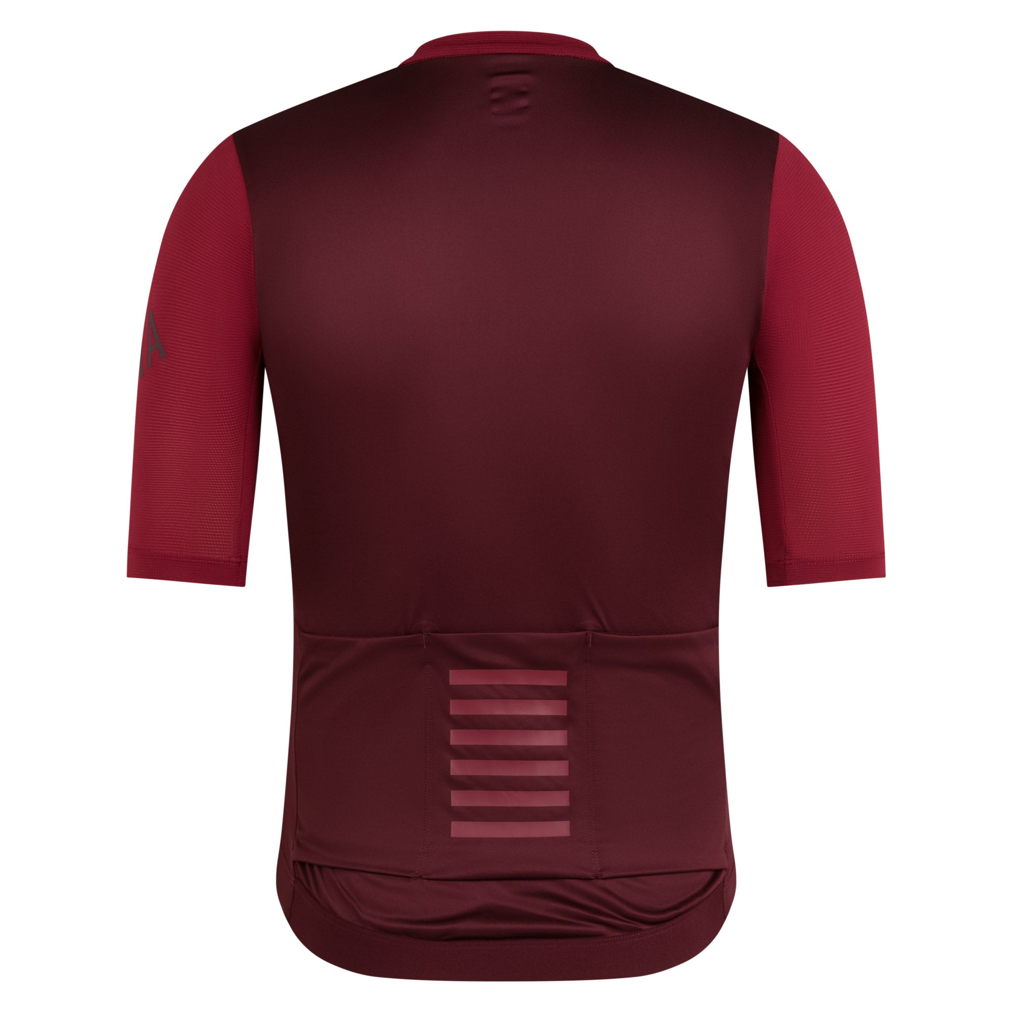 ウェア Rapha Pro Team Training Jersey Rapha Pro Team Training Jersey II – Mike's Bikes