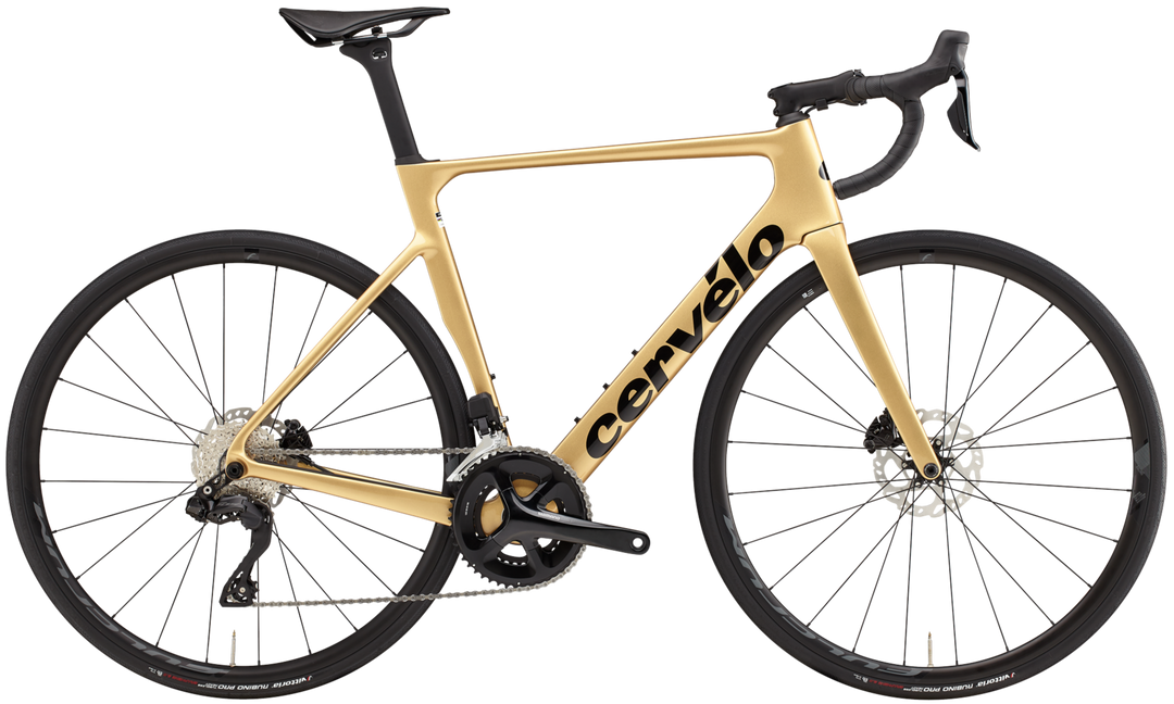 Soloist 105 Di2 (2024)